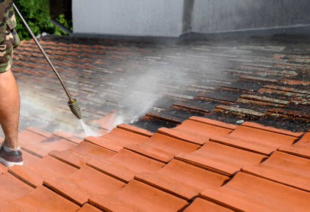 Best Sidewalk Pressure Washing  in Williamsburg, OH